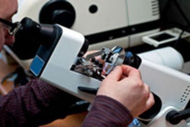 Products and Services – Falcon Eye Lab